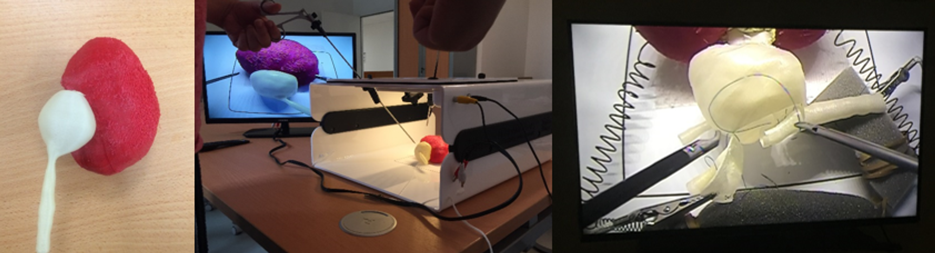 3D printing for medical traning